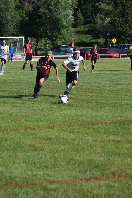 不仅如此 不仅如此