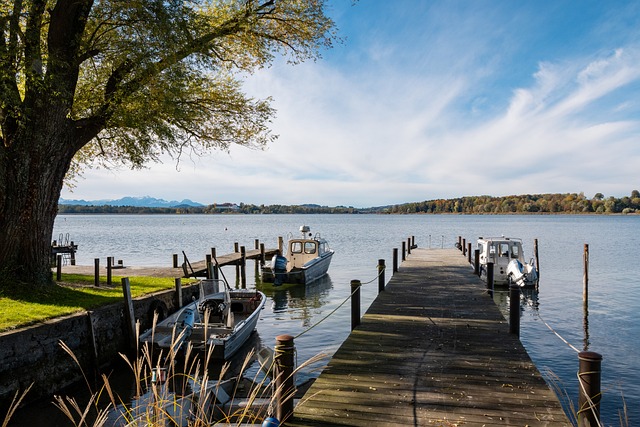 的表現可以 的表現可以