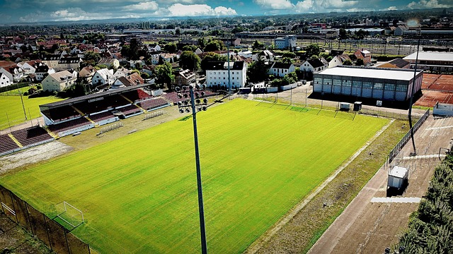 官方摄影师 官方摄影师