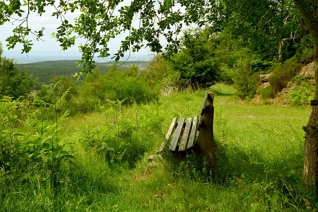 前结束征程 前结束征程